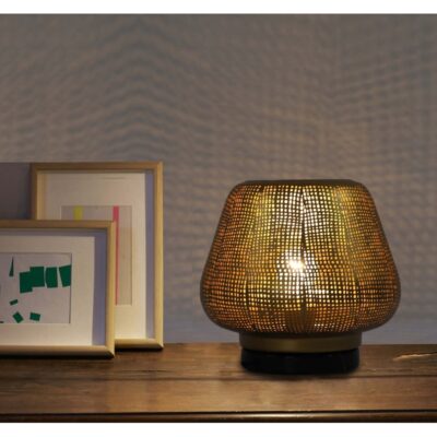 Golden Mesh Textured Globe Table Lamp