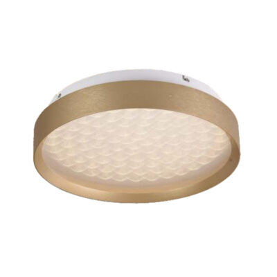The Honeycomb Glow Ceiling Light